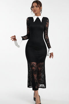 Black lace midi dress with white pointed collar and long sheer sleeves, fitted silhouette